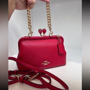 Coach Crossbody Bag Strawberry